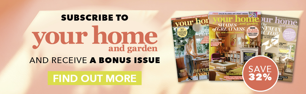 subscribe and receive bonus issue