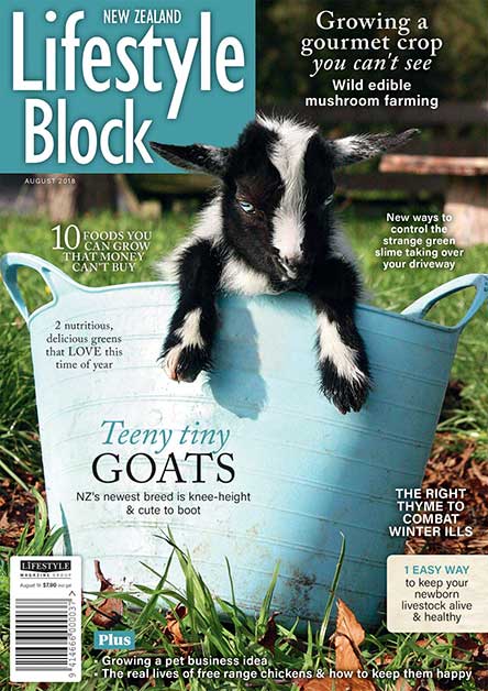 NZ Lifestyle Block Magazine Subscription