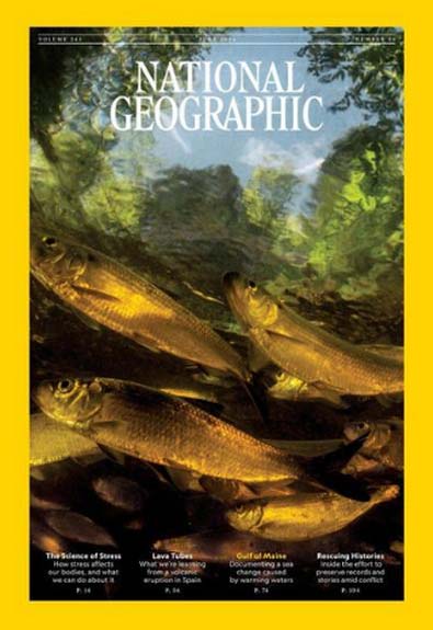 National Geographic Magazine Subscription